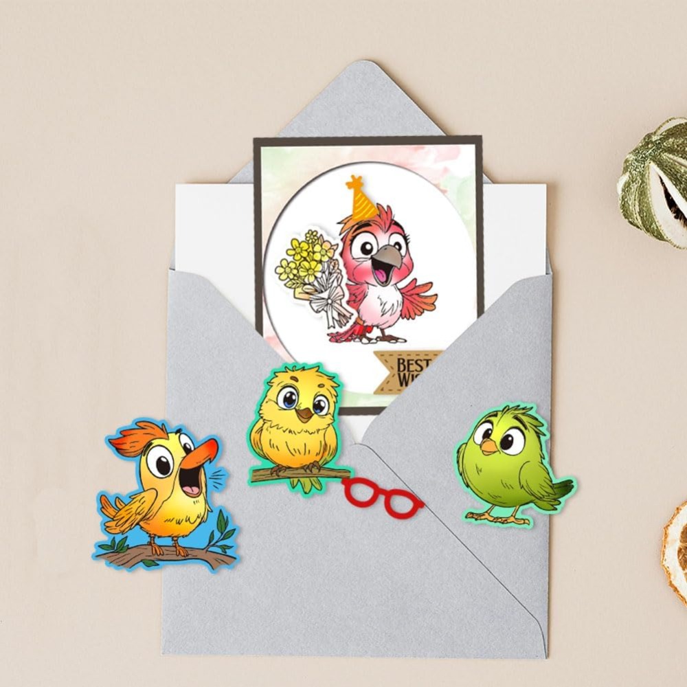 Funny Bird Clear Stamps for Sc - Clear Silicone Stamps For Card Making review and price